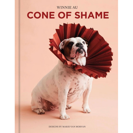 Cone of Shame