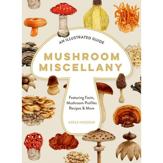 Mushroom Miscellany : An Illustrated Guide Featuring Fun Facts, Mushroom Profiles, Recipes & More