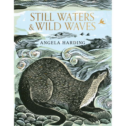 Still Waters & Wild Waves : the beautiful new book from printmaker and illustrator Angela Harding